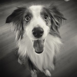 Meet your Posher, Sabrina